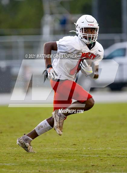 Thumbnail 2 in South Walton @ Mosley photogallery.