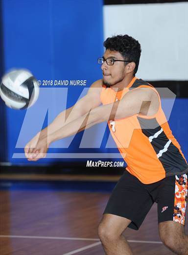 null - Photo 01