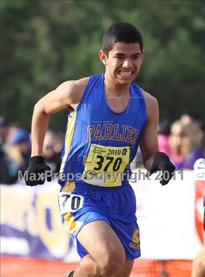 Thumbnail 1 in CIF State Cross Country Championships (D4 Boys) photogallery.