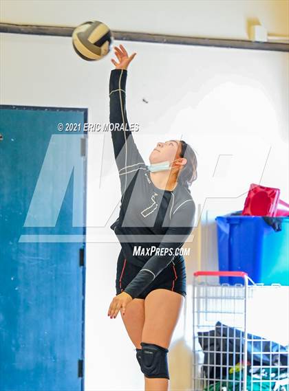 Thumbnail 1 in Olympian @ Hilltop photogallery.