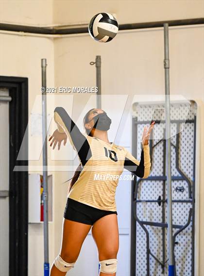 Thumbnail 2 in Olympian @ Hilltop photogallery.