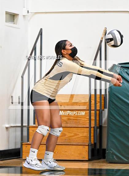 Thumbnail 3 in Olympian @ Hilltop photogallery.