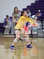 Photo from the gallery "Circleville @ Bloom-Carroll"
