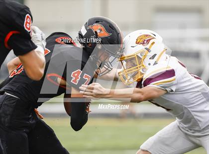 Thumbnail 1 in Ryle @ Cooper photogallery.