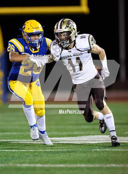 Thumbnail 1 in Laguna Hills @ Valencia photogallery.