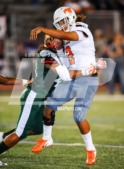 Thumbnail 1 in Sachse @ Naaman Forest photogallery.