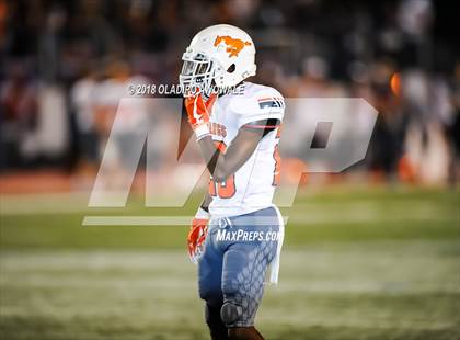 Thumbnail 3 in Sachse @ Naaman Forest photogallery.