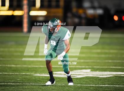 Thumbnail 1 in Sachse @ Naaman Forest photogallery.