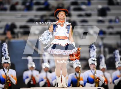 Thumbnail 3 in Sachse @ Naaman Forest photogallery.