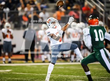 Thumbnail 3 in Sachse @ Naaman Forest photogallery.