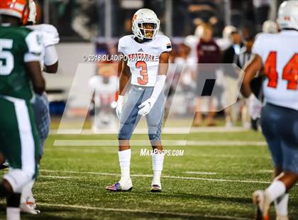 Thumbnail 2 in Sachse @ Naaman Forest photogallery.