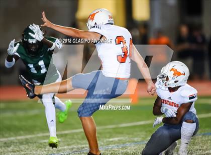 Thumbnail 1 in Sachse @ Naaman Forest photogallery.