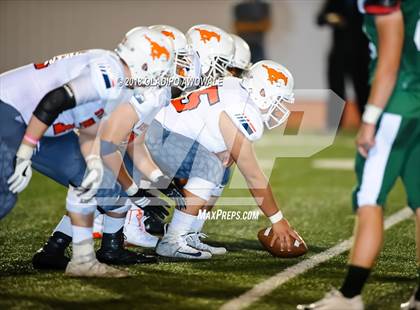 Thumbnail 3 in Sachse @ Naaman Forest photogallery.