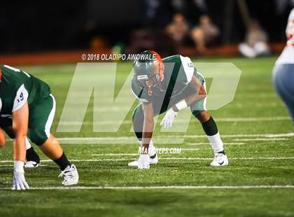 Thumbnail 1 in Sachse @ Naaman Forest photogallery.