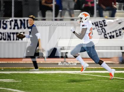 Thumbnail 3 in Sachse @ Naaman Forest photogallery.