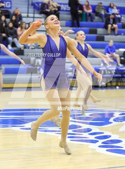 Thumbnail 2 in Pleasant Grove Vikettes  photogallery.