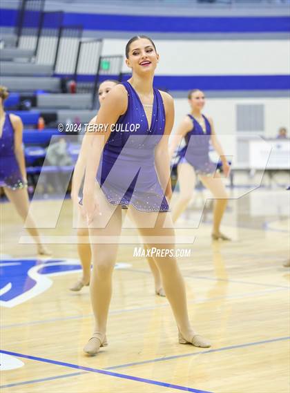 Thumbnail 2 in Pleasant Grove Vikettes  photogallery.
