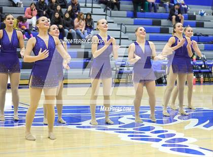 Thumbnail 3 in Pleasant Grove Vikettes  photogallery.