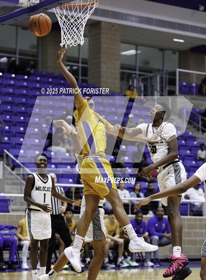 Thumbnail 1 in Clemens @ Sotomayor photogallery.