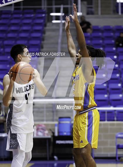 Thumbnail 3 in Clemens @ Sotomayor photogallery.