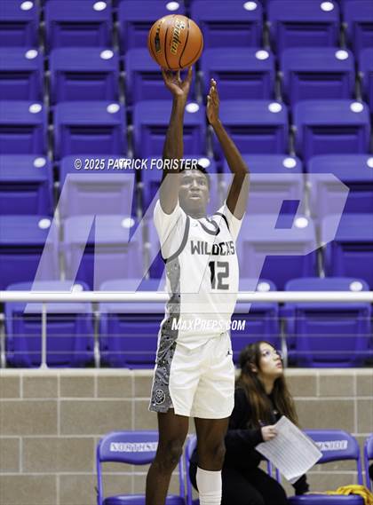 Thumbnail 3 in Clemens @ Sotomayor photogallery.