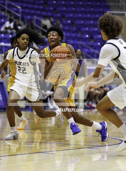 Thumbnail 2 in Clemens @ Sotomayor photogallery.