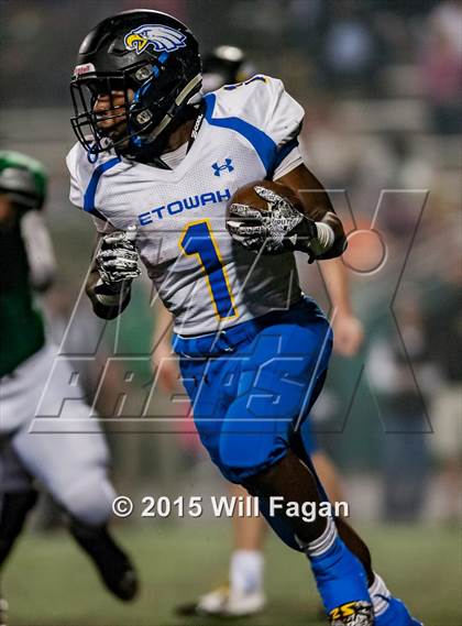 Thumbnail 1 in Etowah @ Roswell photogallery.