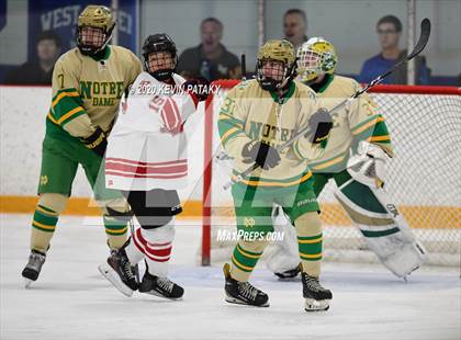 Thumbnail 2 in Notre Dame, WH vs. Fairfield Prep (SCC D1 Final) photogallery.