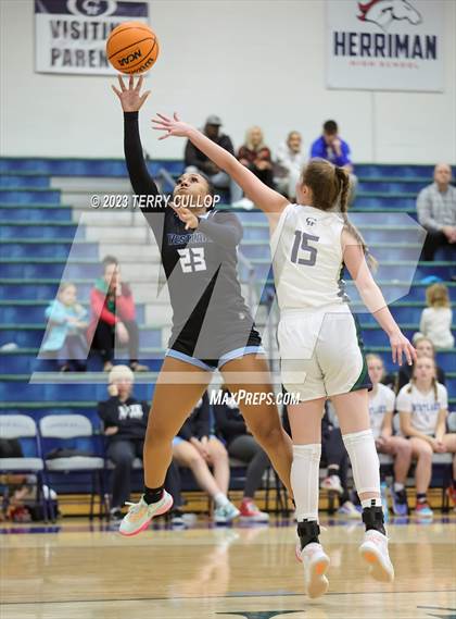 Thumbnail 3 in Westlake @ Copper Hills photogallery.
