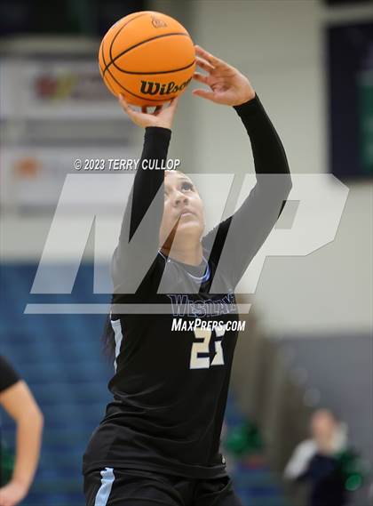 Thumbnail 3 in Westlake @ Copper Hills photogallery.