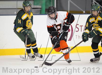 Thumbnail 2 in Ridgefield/Immaculate @ Greenwich Academy photogallery.