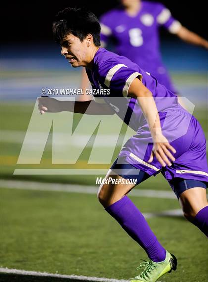 Thumbnail 1 in Torrey Pines vs St. Augustine photogallery.