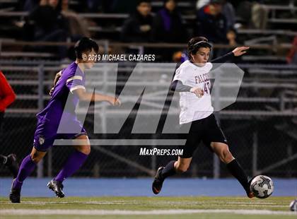 Thumbnail 3 in Torrey Pines vs St. Augustine photogallery.