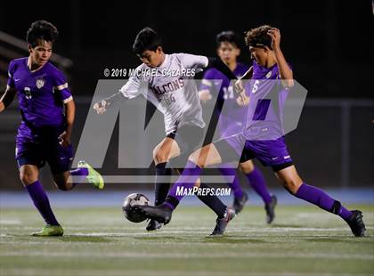 Thumbnail 2 in Torrey Pines vs St. Augustine photogallery.