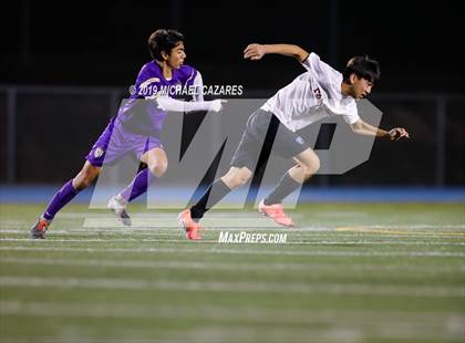 Thumbnail 3 in Torrey Pines vs St. Augustine photogallery.
