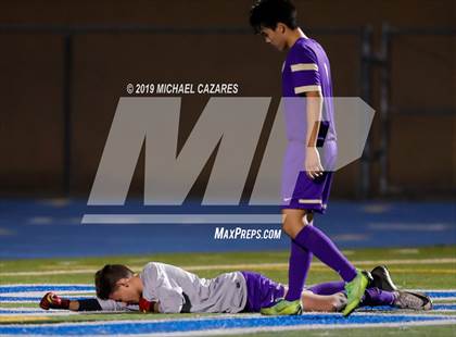 Thumbnail 2 in Torrey Pines vs St. Augustine photogallery.