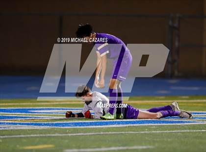 Thumbnail 1 in Torrey Pines vs St. Augustine photogallery.