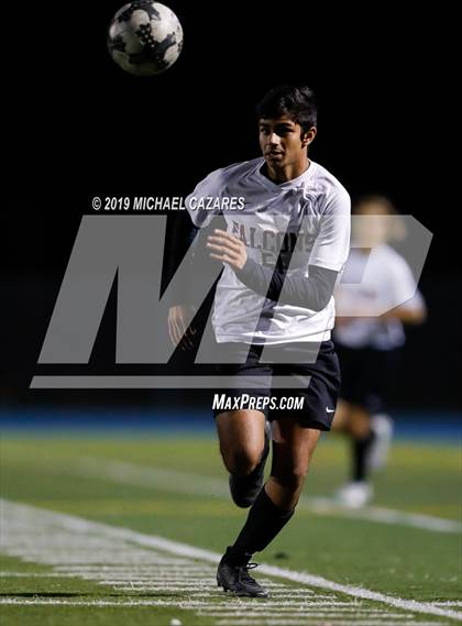 Thumbnail 2 in Torrey Pines vs St. Augustine photogallery.