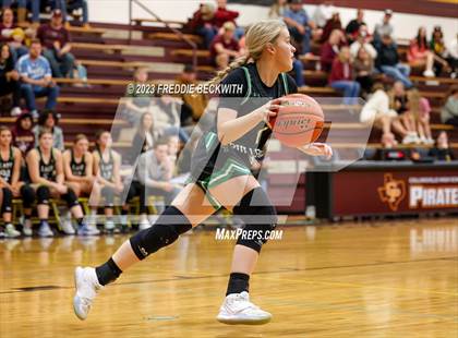 Thumbnail 3 in Tioga @ Collinsville photogallery.