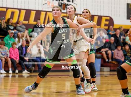 Thumbnail 3 in Tioga @ Collinsville photogallery.