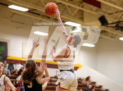 Thumbnail 2 in Tioga @ Collinsville photogallery.