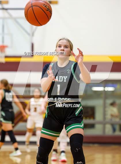 Thumbnail 3 in Tioga @ Collinsville photogallery.