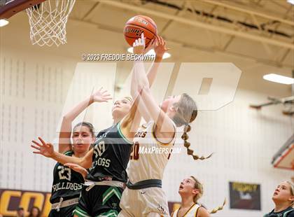 Thumbnail 3 in Tioga @ Collinsville photogallery.