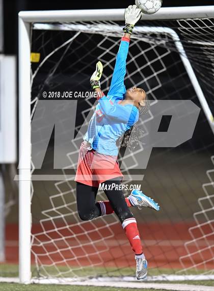 Thumbnail 3 in Steele vs Lee [Robert E.] (Steele Showcase) photogallery.