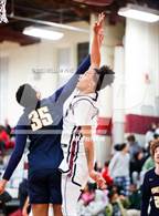 Photo from the gallery "Pine Bush @ Kingston"