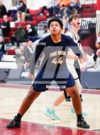 Photo from the gallery "Pine Bush @ Kingston"