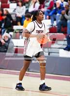 Photo from the gallery "Pine Bush @ Kingston"