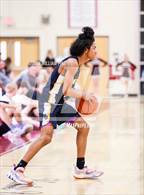Photo from the gallery "Pine Bush @ Kingston"