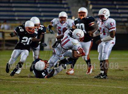 Thumbnail 2 in Plantation @ Stranahan photogallery.