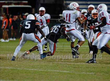 Thumbnail 1 in Plantation @ Stranahan photogallery.